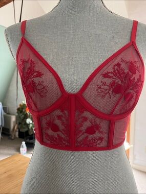Women's Red Sheer Embroidered Longline Bralette